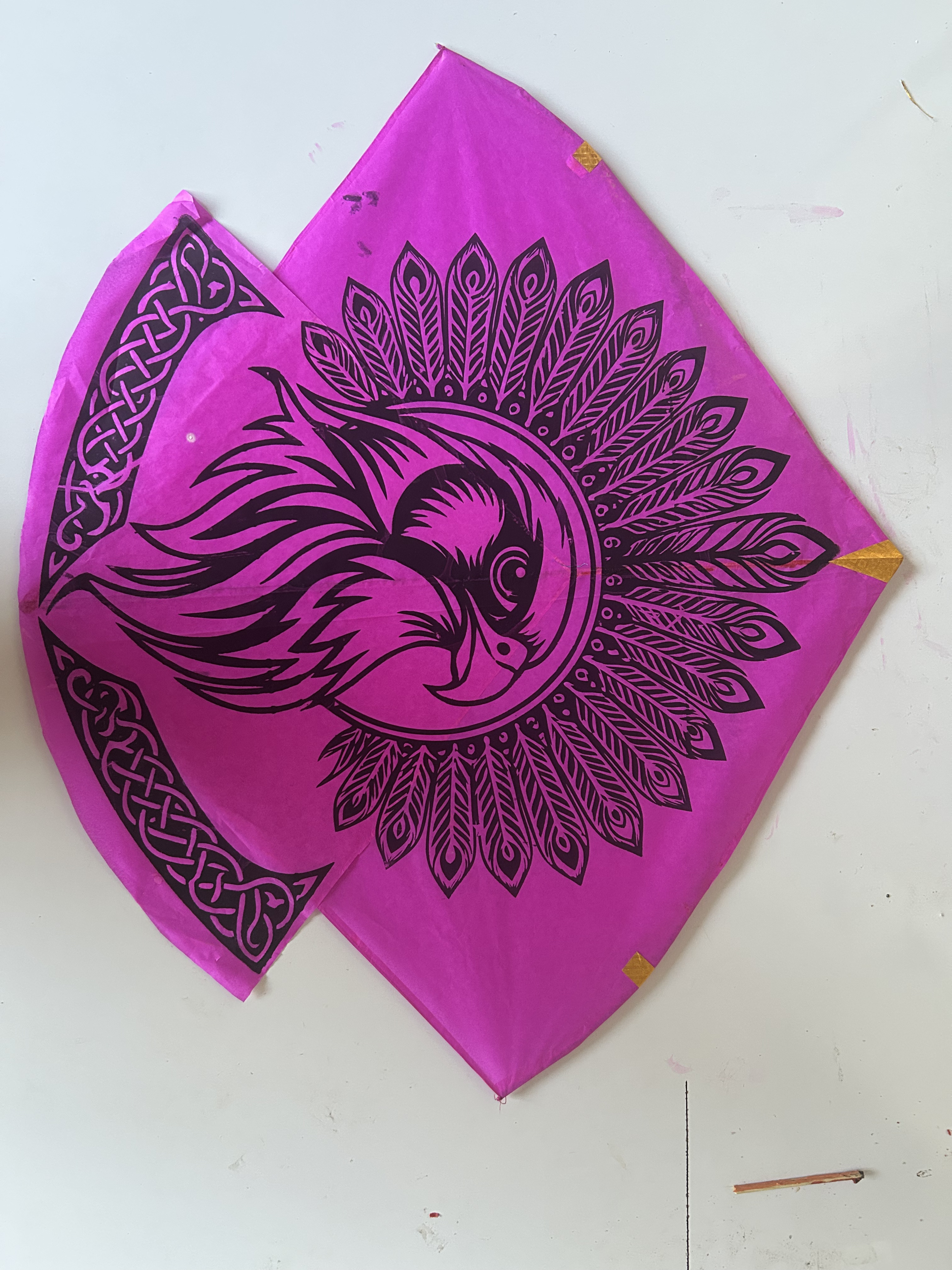 Standard Kite — FancyKite Pakistan